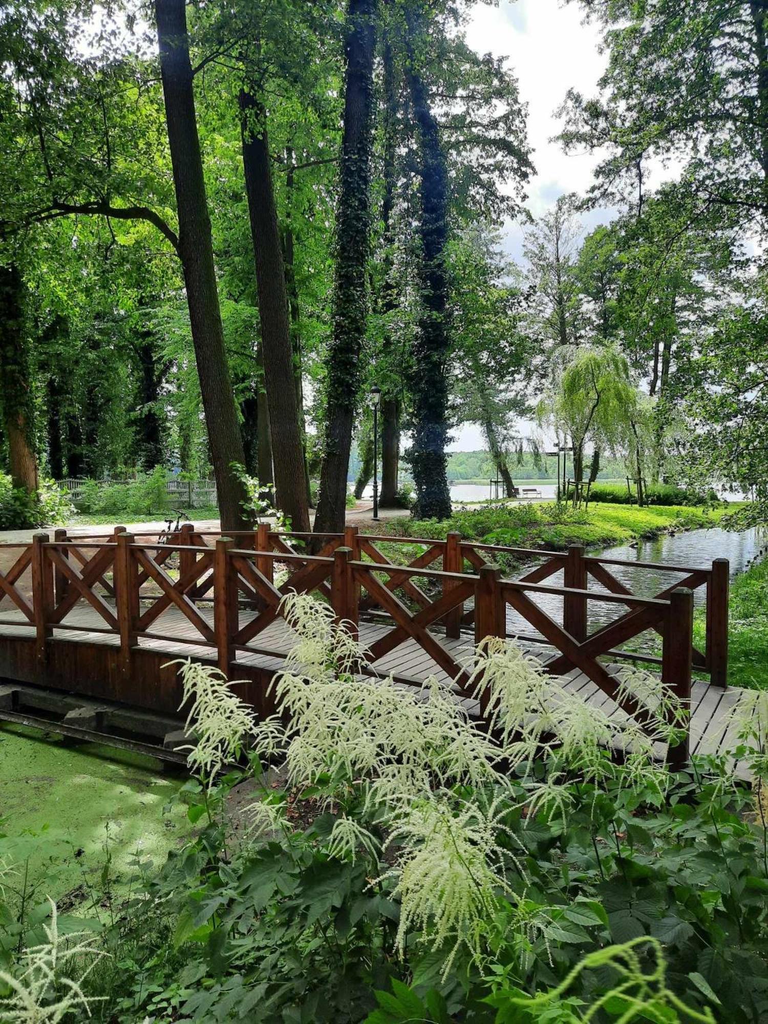 Twoja Przystan Slawa- Apartament Przy Plazy Dış mekan fotoğraf